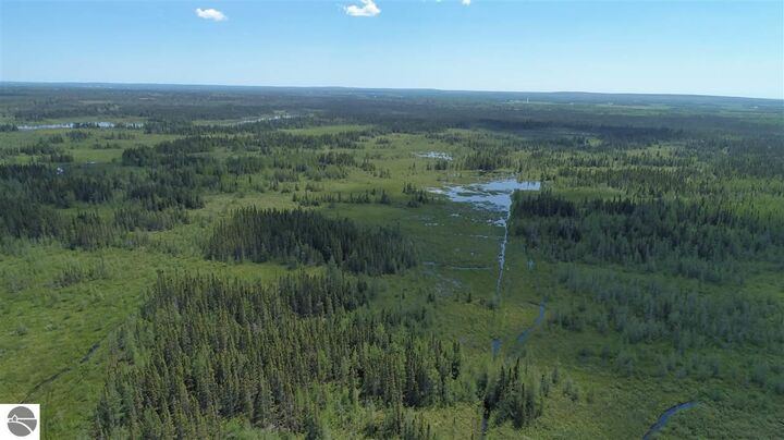 Property Photo:  320 Acres Aho Road  MI 49780 