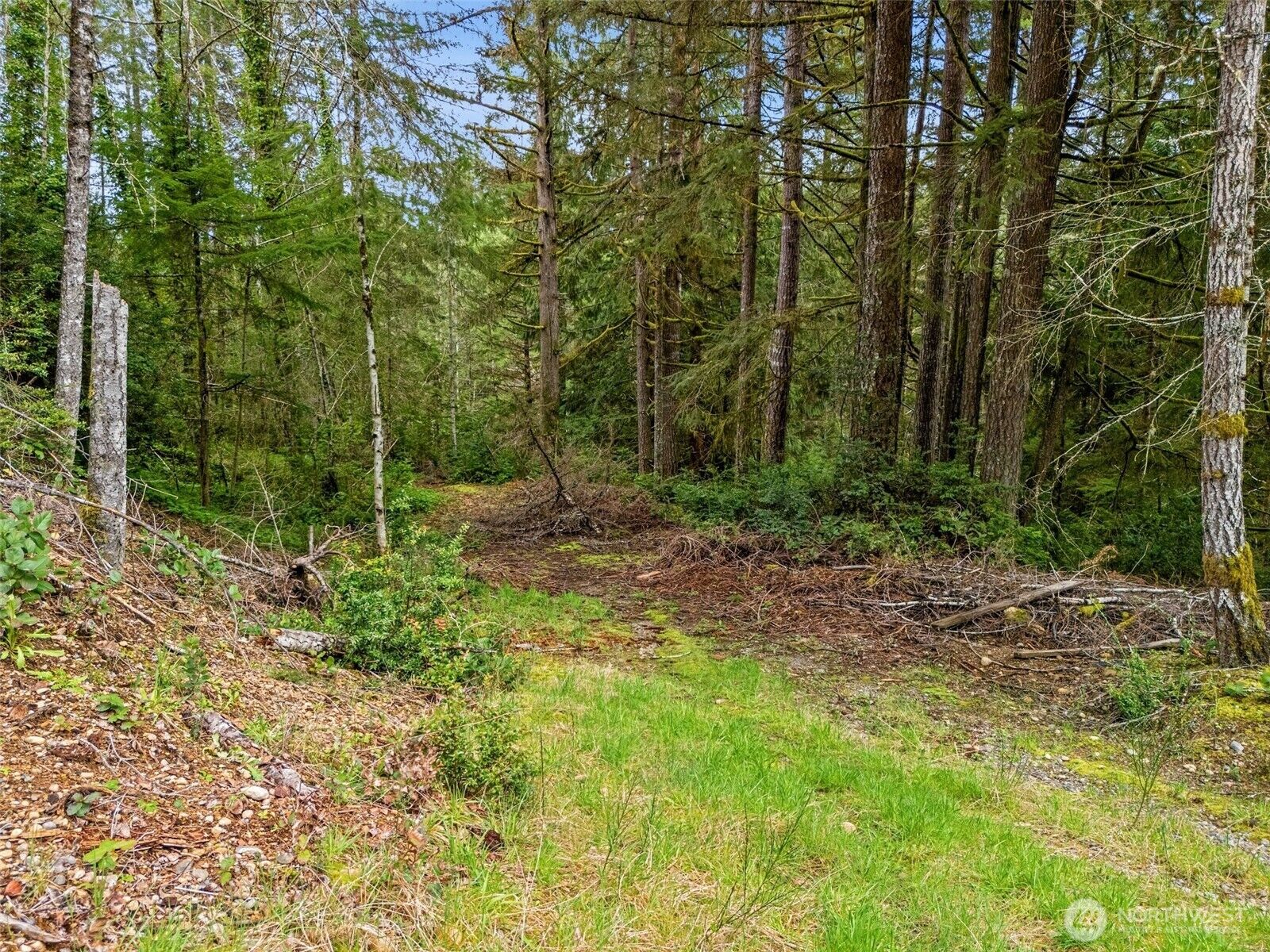 Property Photo:  71 E Sleaford Road  WA 98584 