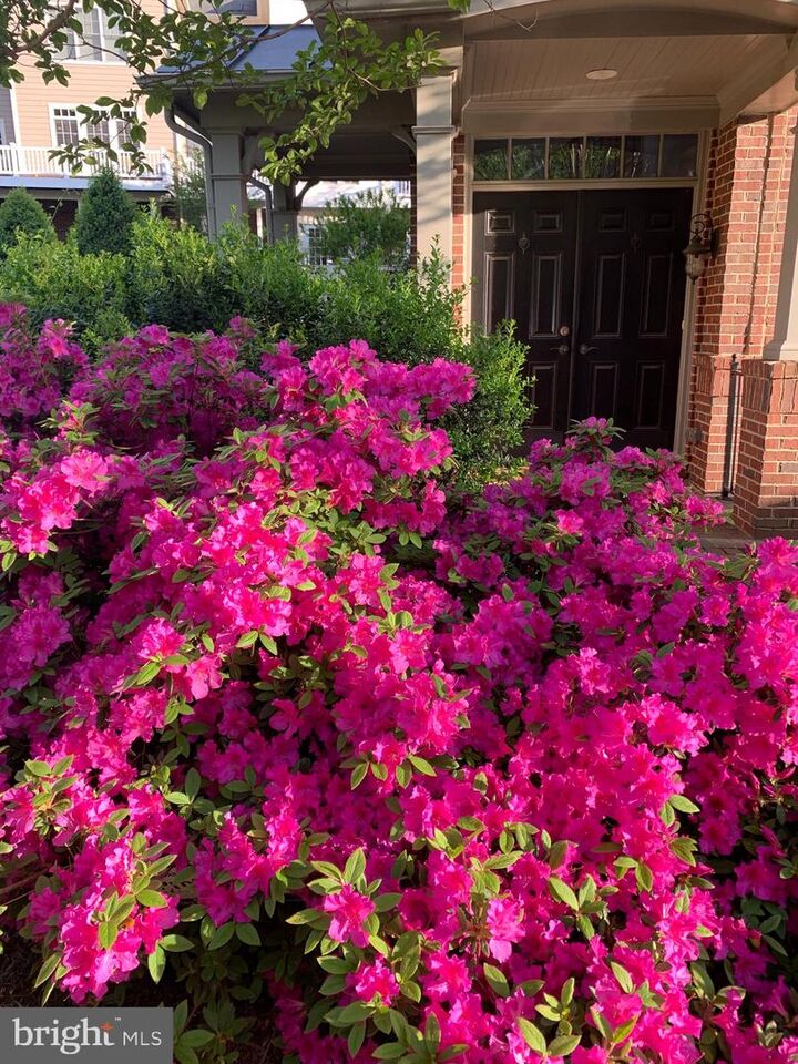 Property Photo:  6739 Darrells Grant Place  VA 22043 