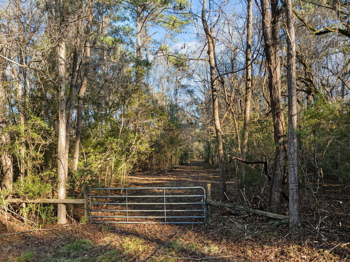 Property Photo:  0 Summit Plantation Road  SC 29449 
