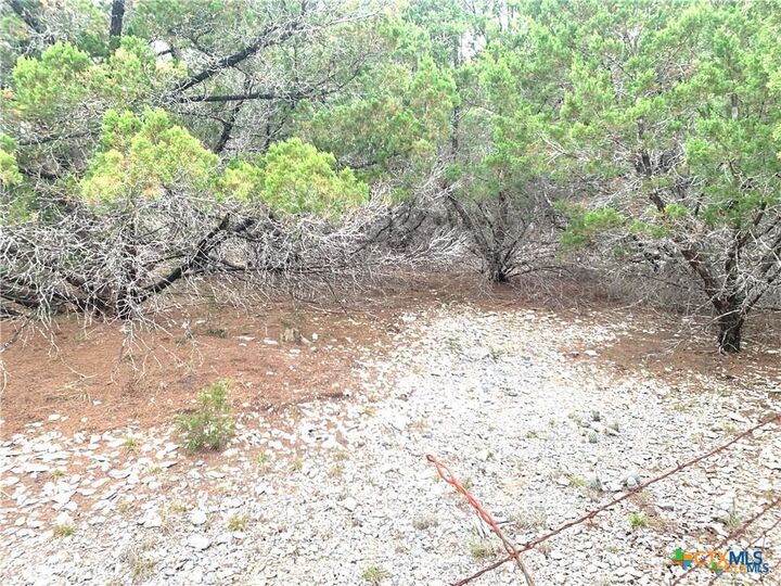 Property Photo:  Tbd Firefly Road  TX 76527 