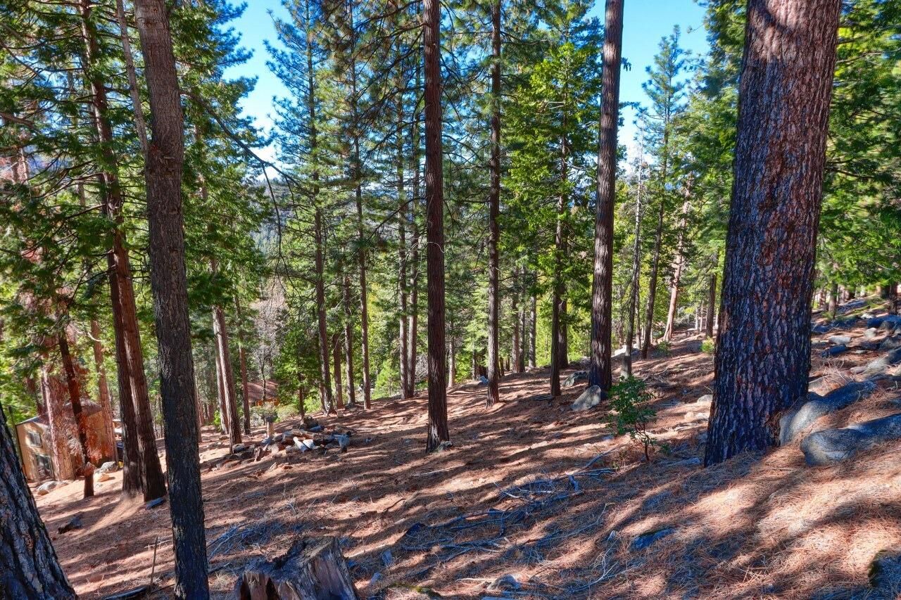 Property Photo:  7349 Yosemite Park Way  CA 95389 