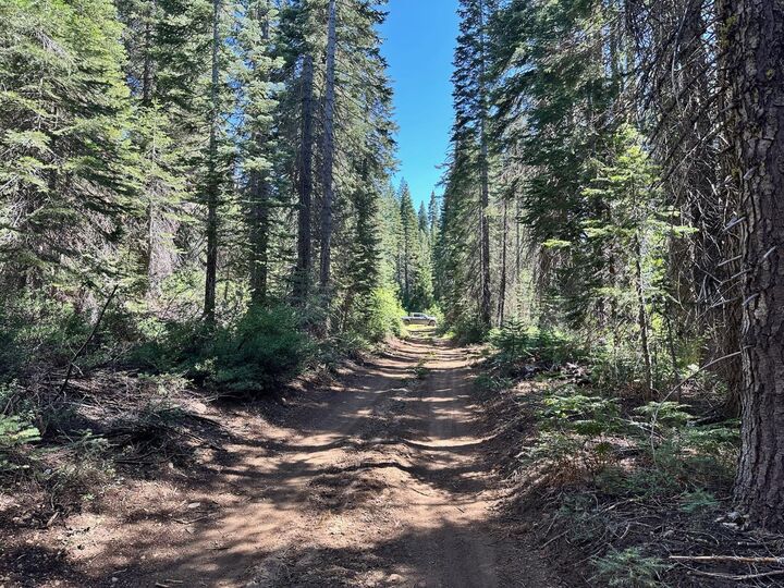 Property Photo: 19372 Marsh Mill Road CA 95959