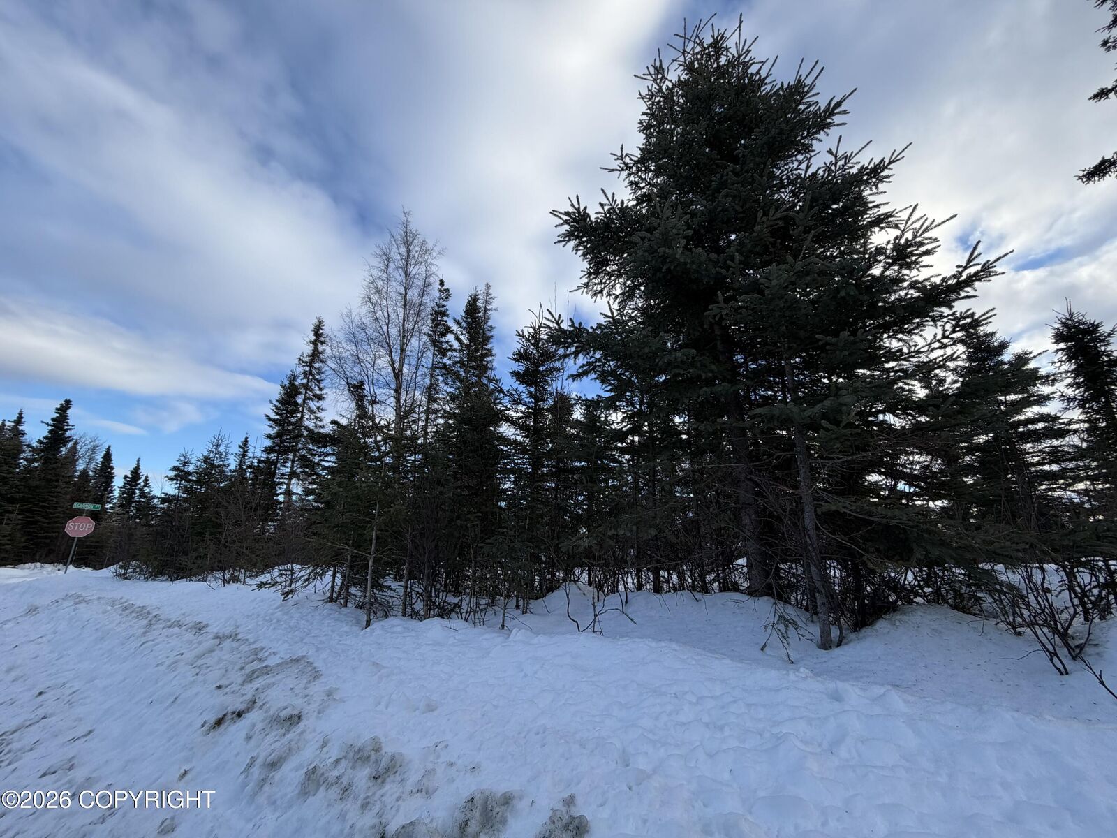 Property Photo:  1117 Inlet Woods Drive  AK 99611 