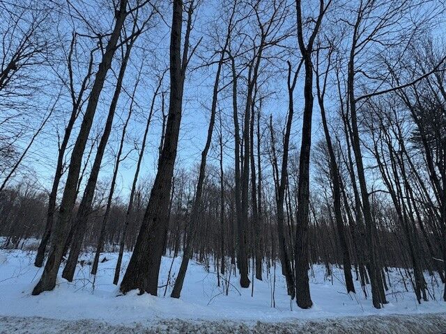 Property Photo:  184 Hoadley Hill  Road  NY 13865 