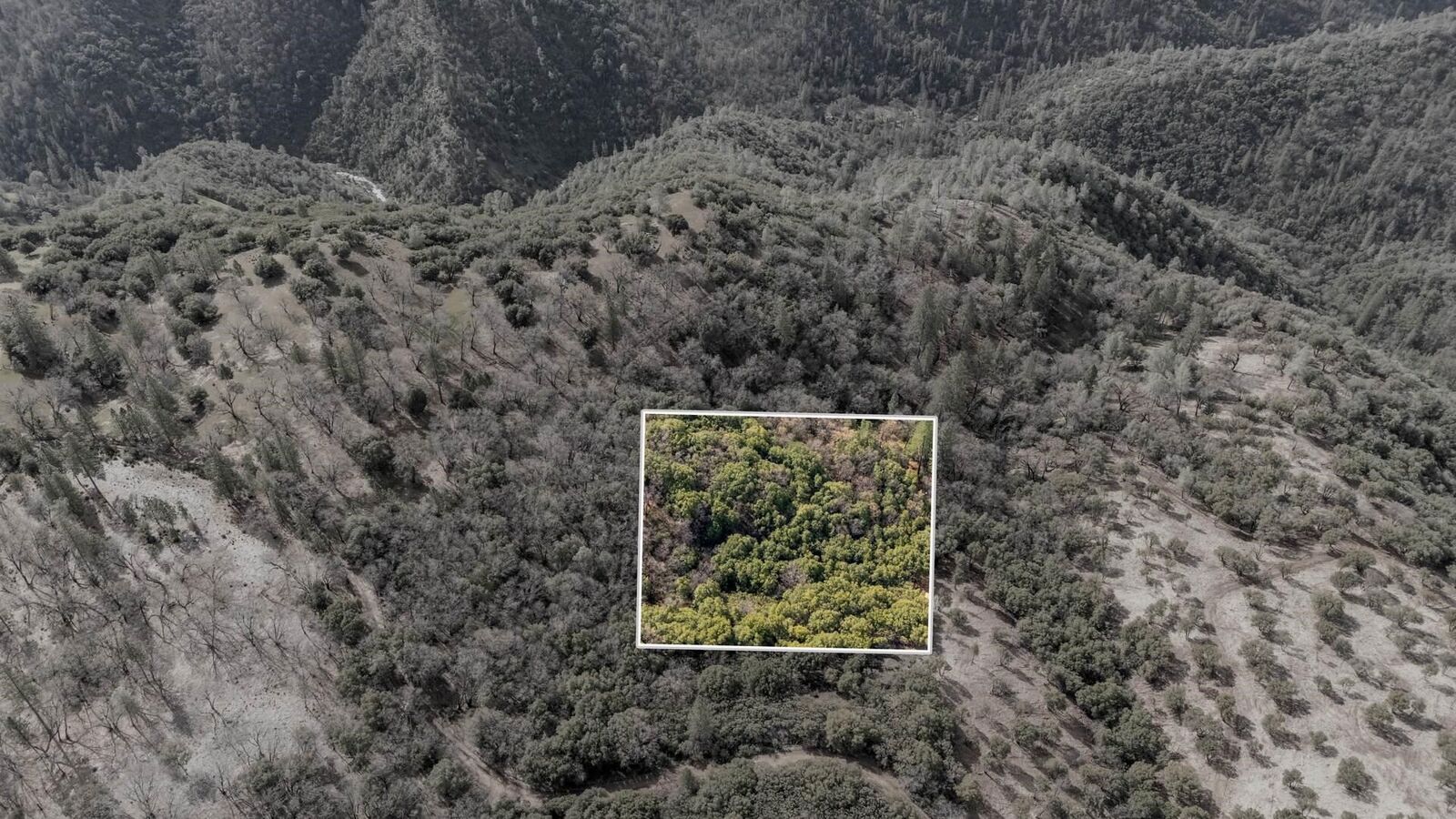 Property Photo: 25555 Forest Rte 3N11 CA 95310