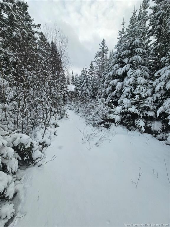Property Photo:  Lot Rues Des Pins  NB E4R 1H2 