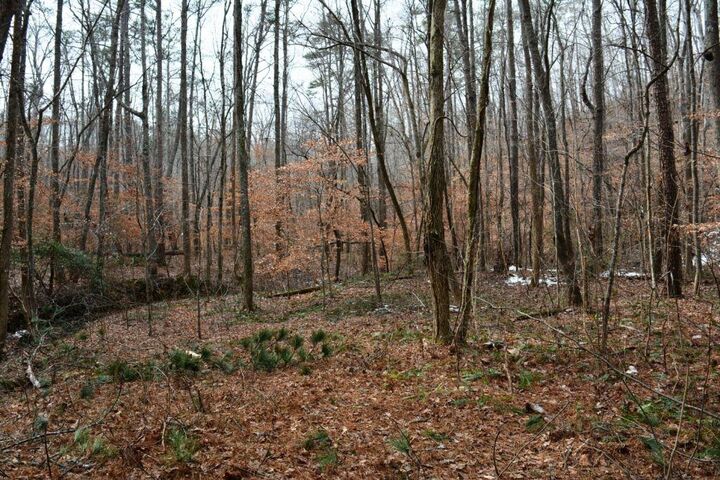 Property Photo: 0 Willow Springs Road GA 30132