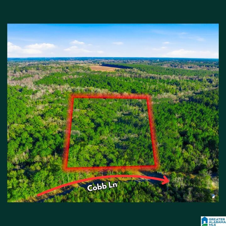 Property Photo:  0 Cobb Lane 0  AL 36579 