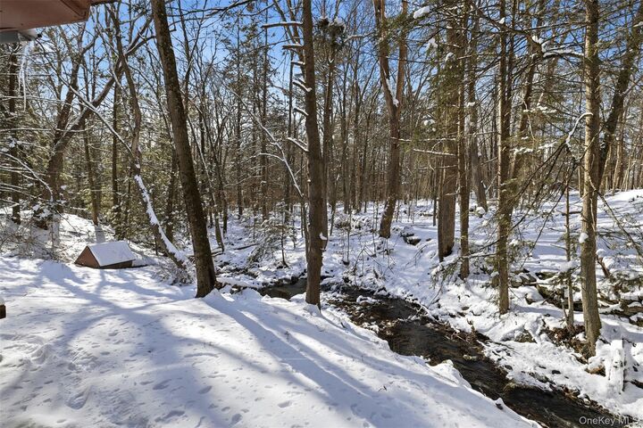 Property Photo:  269 Oakland Valley Road  NY 12729 