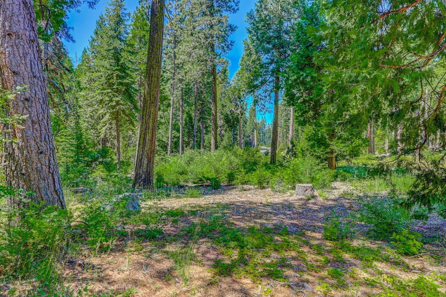 Property Photo:  10 Timber Trail Court  CA 95223 
