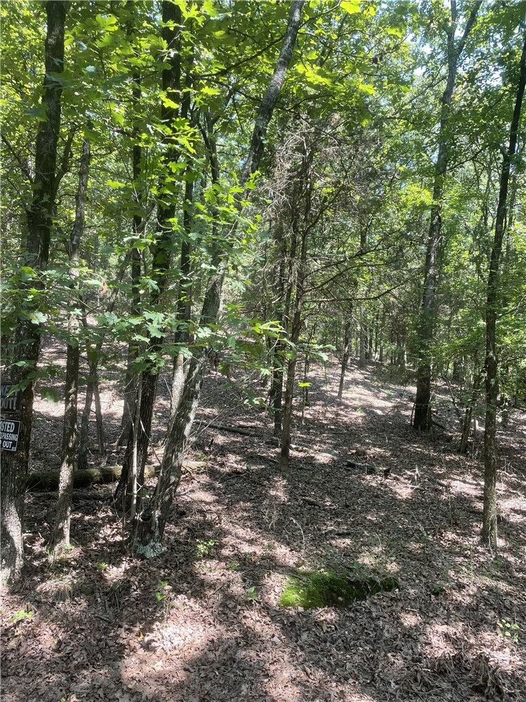 Property Photo:  312 Cr 3222 Two Ac  AR 72830 