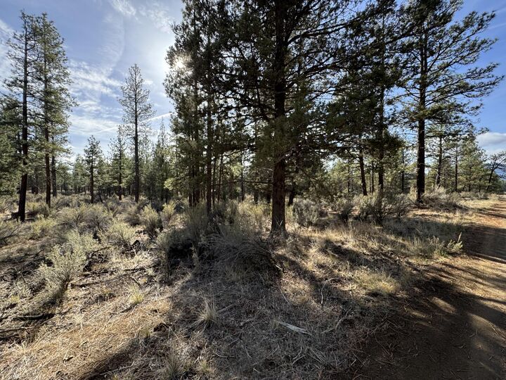 Property Photo:  0 Pheasant Lane 9  OR 97624 