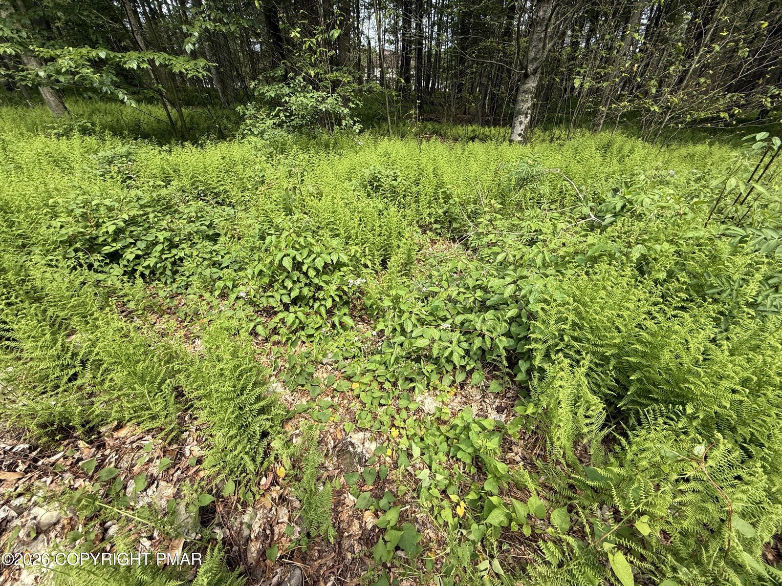 Property Photo:  Dorshimer Ave  PA 18610 