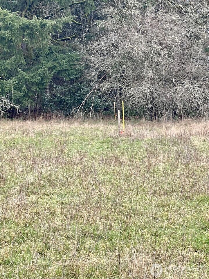 Property Photo:  1 NE Jabez Street  WA 98596 