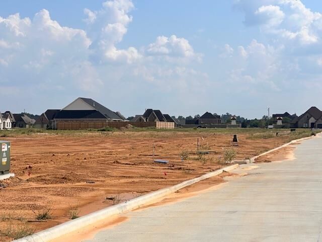 Property Photo:  1250 Natasha'S Way  TX 77657 