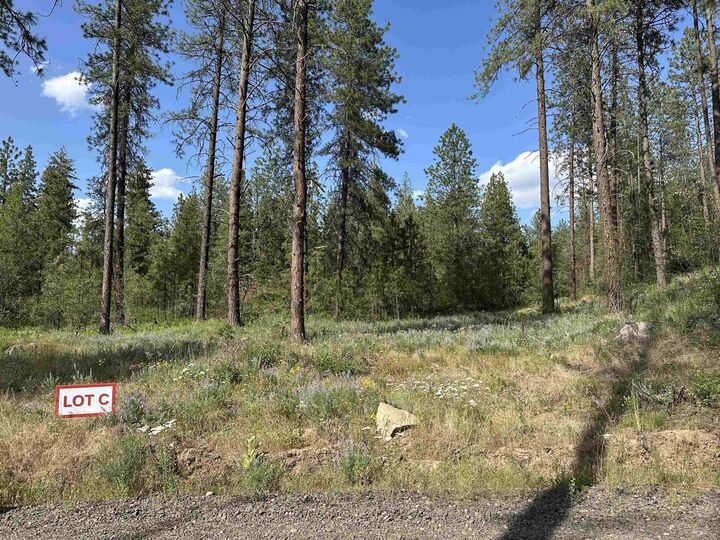 Property Photo:  Nka Lower Weaver Way Lot C  WA 99006 