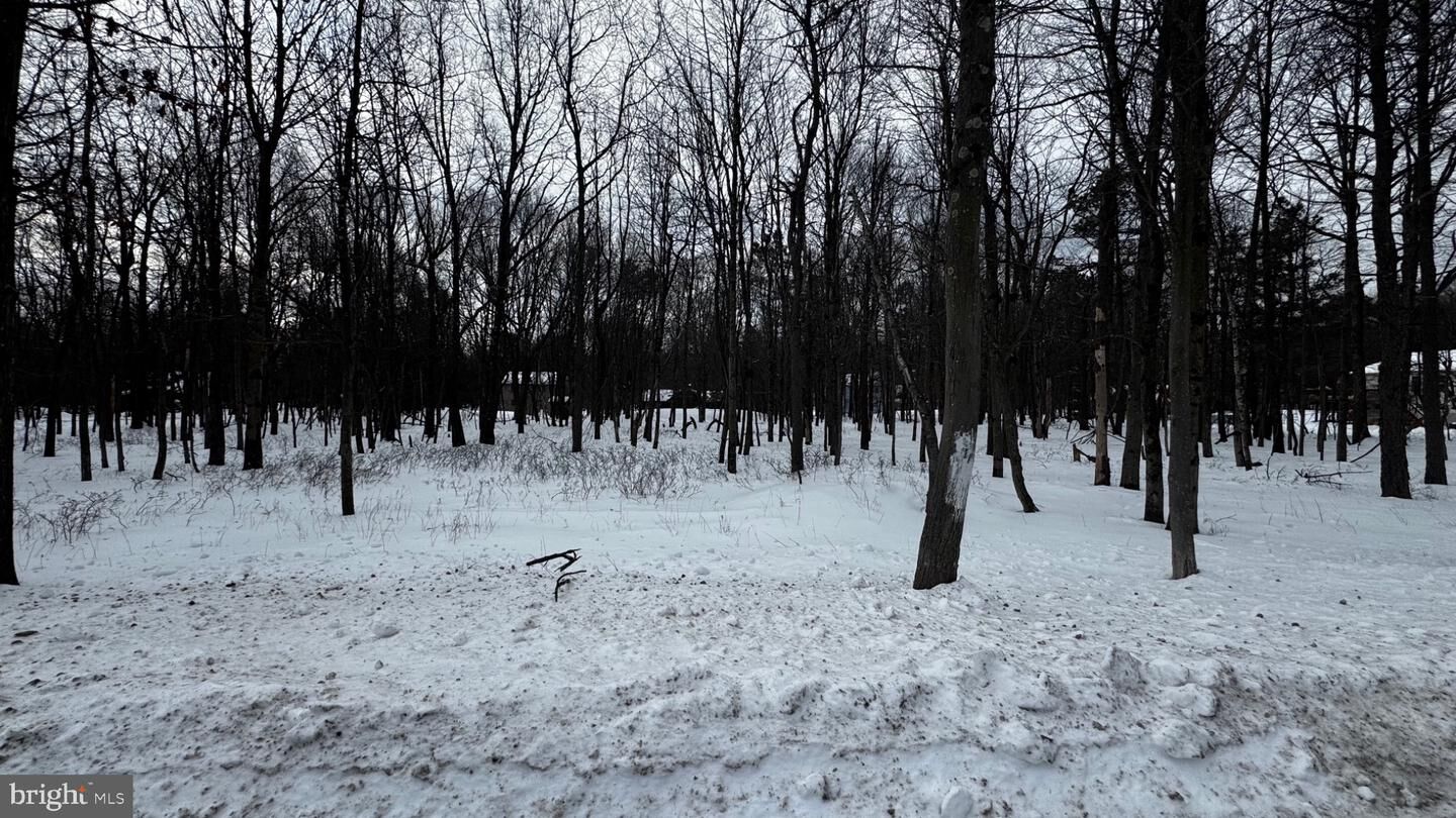 Property Photo:  0 Stony Mountain Road Lot Ev961  PA 18210 