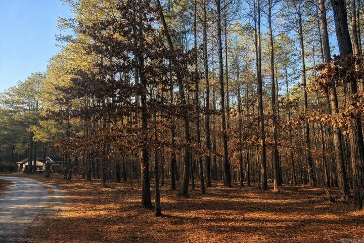 Property Photo:  18 Alzar Lane  AR 71909 