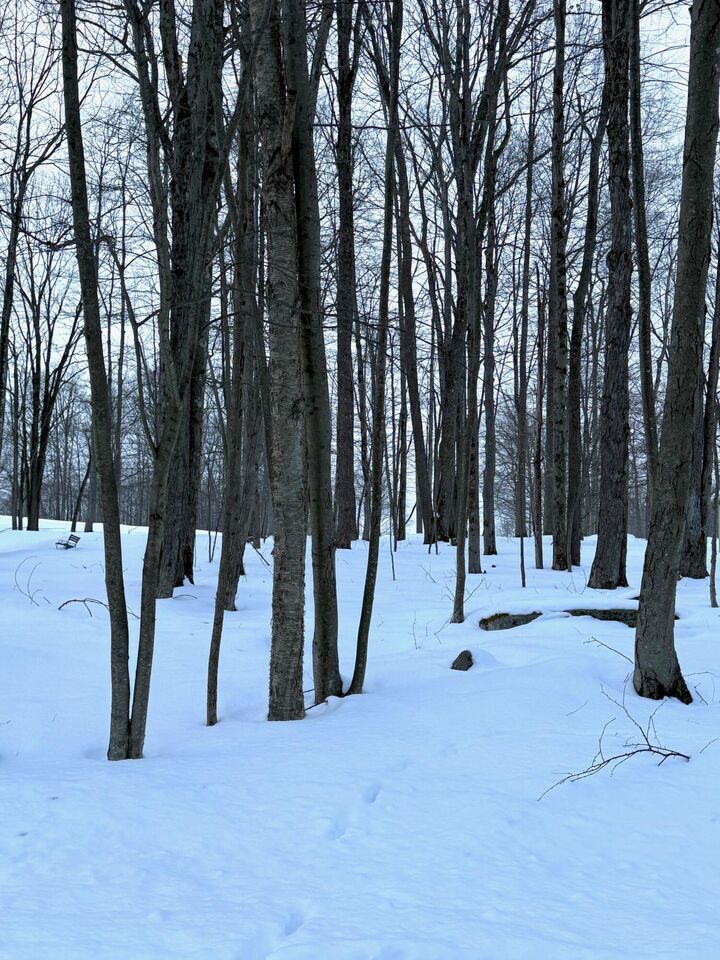 Property Photo: 17 Six Shillings Rd PA 15801