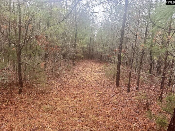 Property Photo:  0 Plantation Acres  SC 29108 