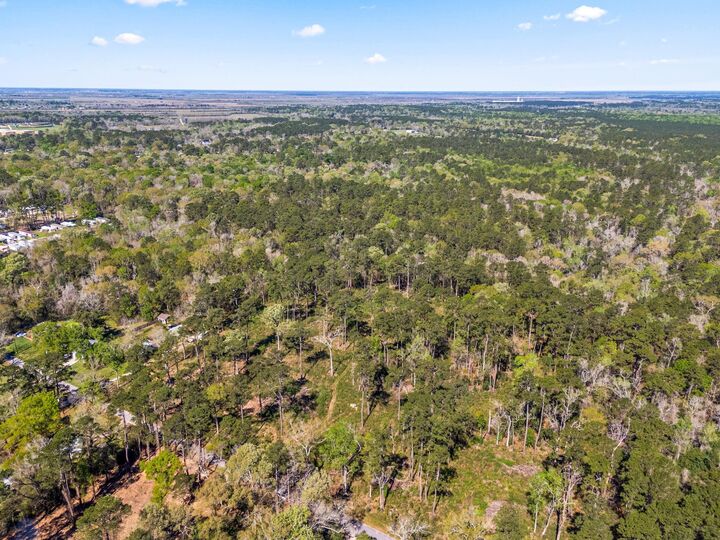 Property Photo: 0 Jamison Street TX 77535