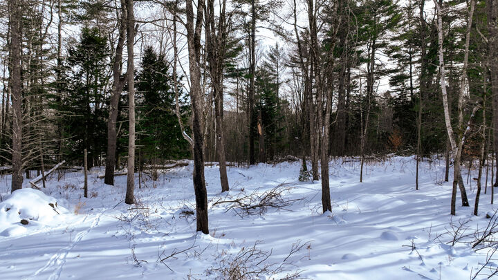 Property Photo:  20 Skyscraper Hill Road  ME 04921 