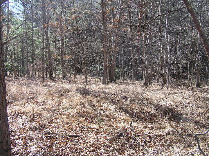 Property Photo: 150 Indian Trail Drive TN 38585