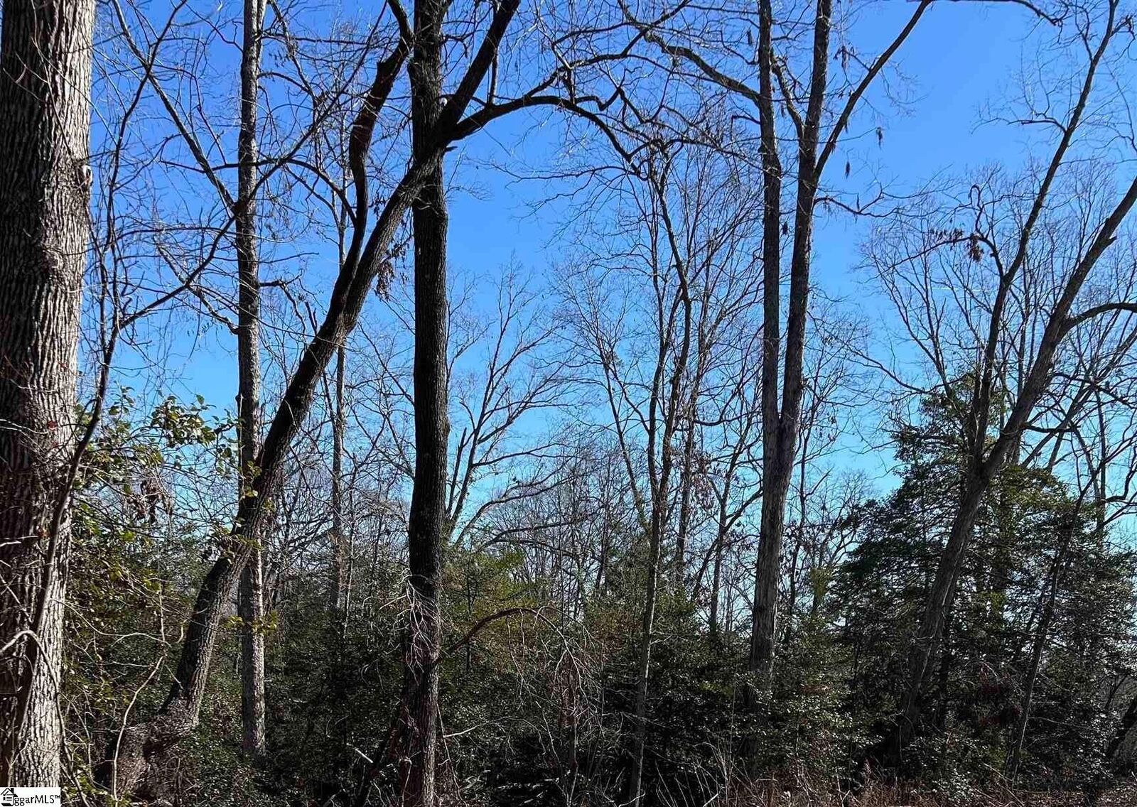 Property Photo:  113 Rolling Green Circle  SC 29615 