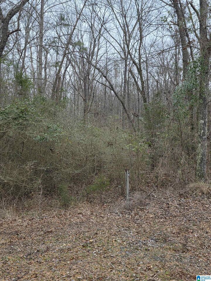 Property Photo:  322 Tucker Road None  AL 35160 