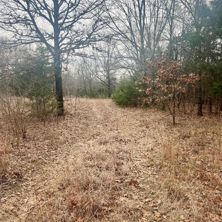 Property Photo:  Tbd County Road 4574 13743  TX 75482 