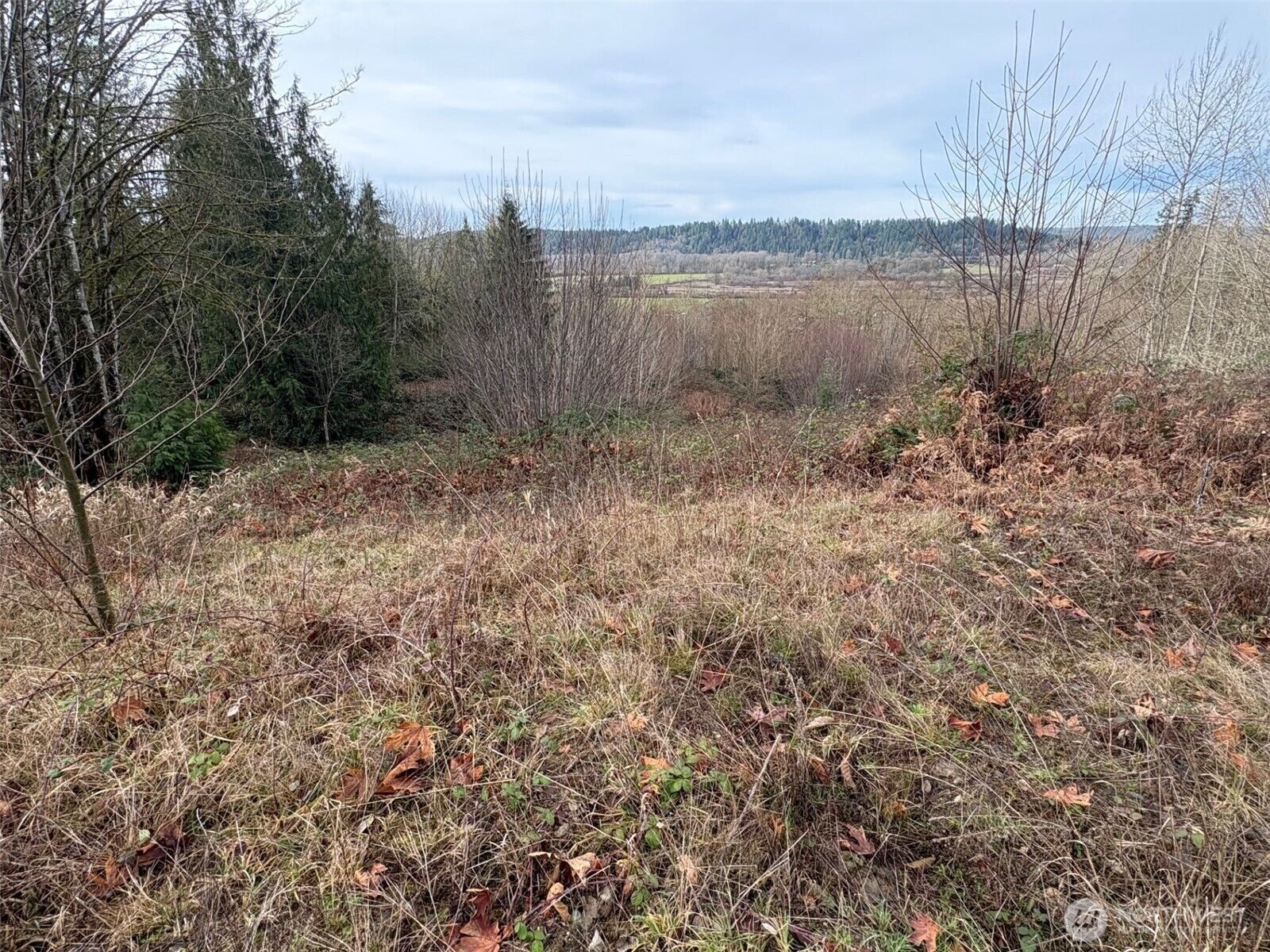 Property Photo:  32950 NE 70th Street  WA 98014 