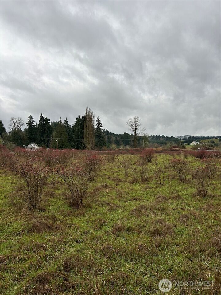Property Photo: 218 Lincoln Creek Road WA 98531