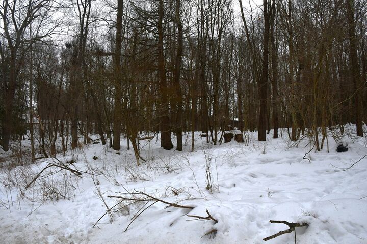 Property Photo:  0 Piney Road  PA 16214 