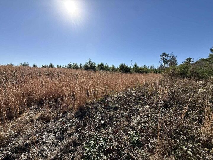 Property Photo:  0 St Rt 399  TN 37327 