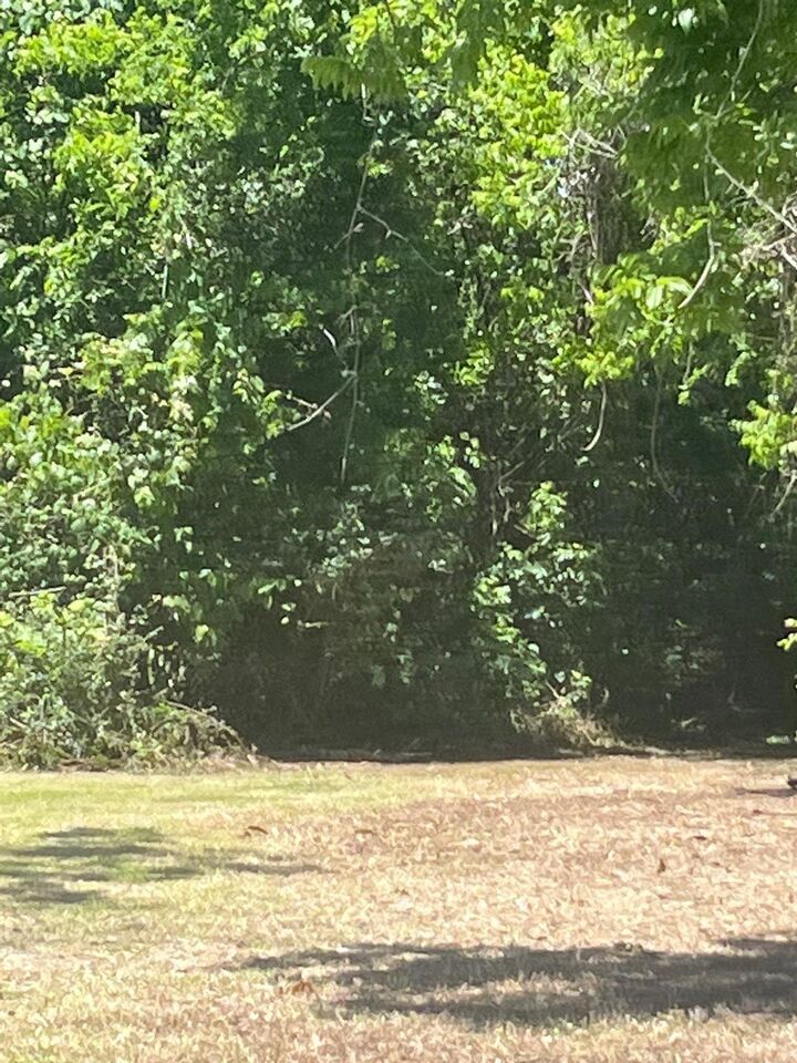 Property Photo:  317 S Fulton Street  TX 77591 