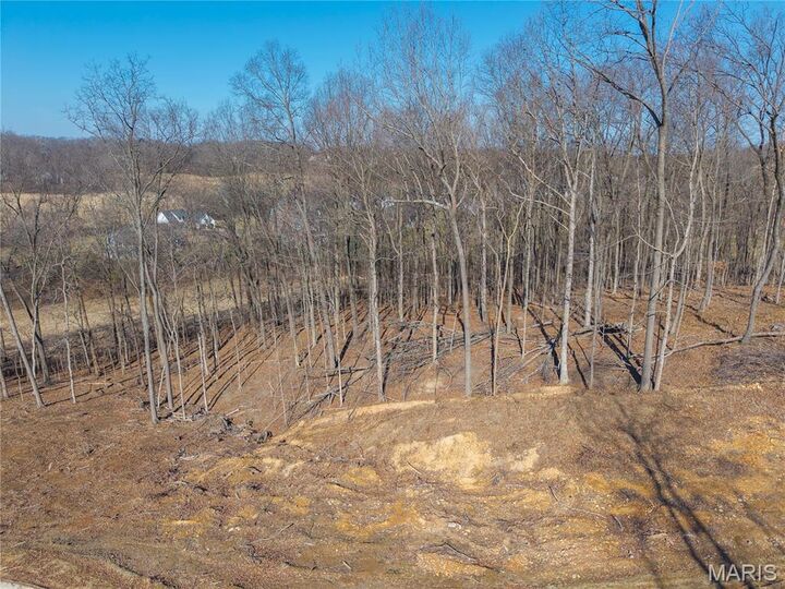 Property Photo:  Lot 3 Heritage Farm Lane  MO 63755 