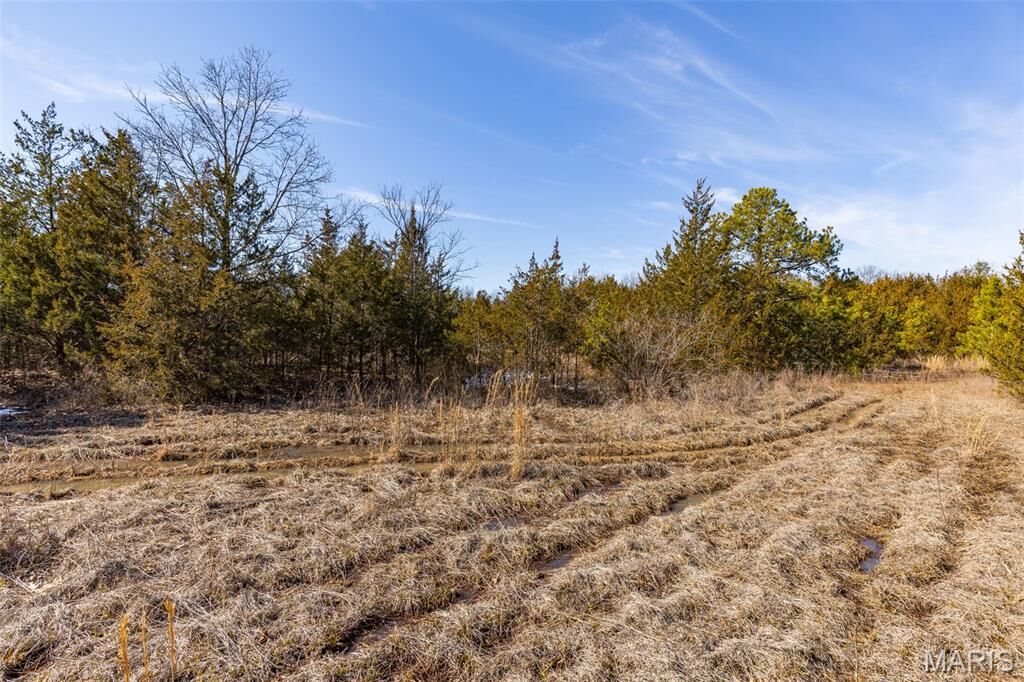 Property Photo:  0 Highway M  MO 63648 