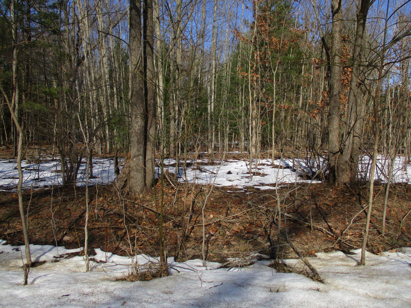 Property Photo: 105th Avenue MI 49450