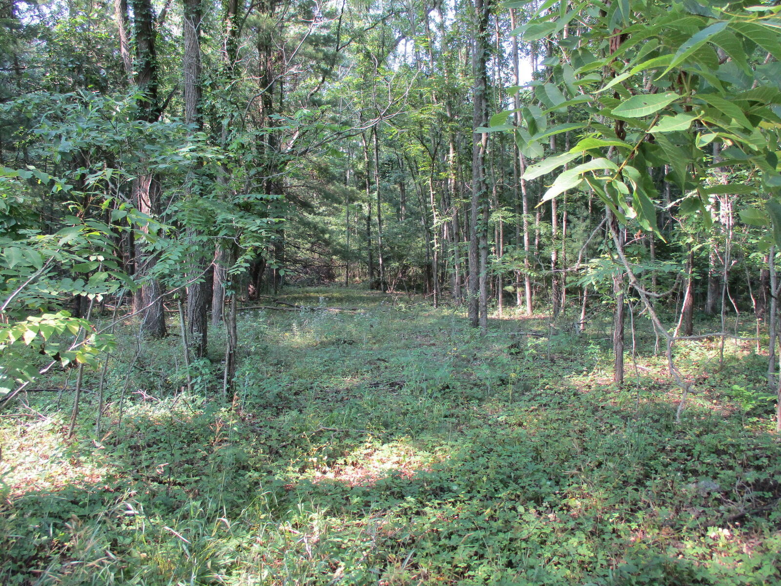 Property Photo:  105th Avenue  MI 49450 