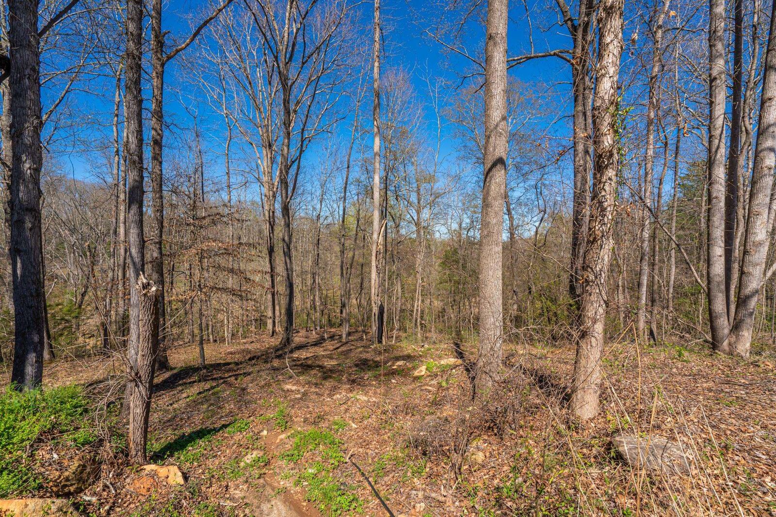 Property Photo:  6 Bagwell Place ***  SC 29302 