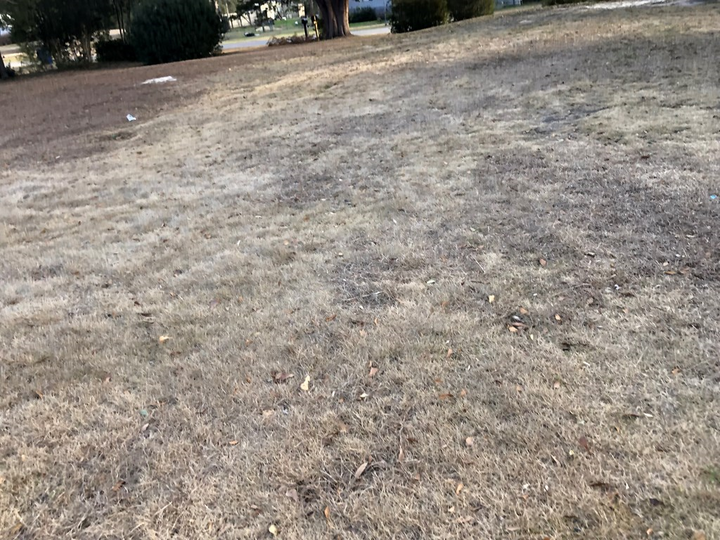 Property Photo:  181 Broad St  AL 36320 