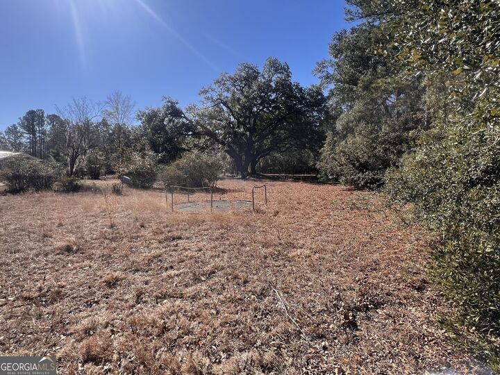 Property Photo:  145 Cherrie Murrell Road  GA 31313 