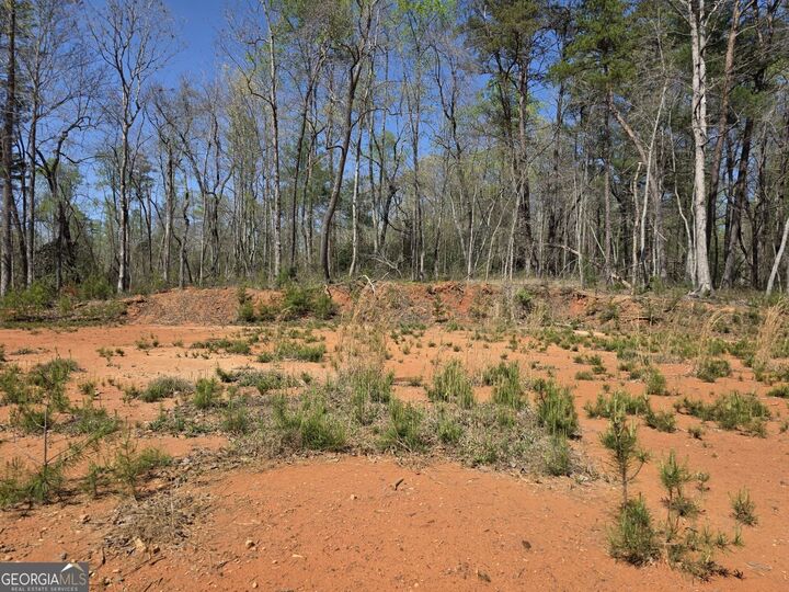 Property Photo:  0 Thurmond Road 8.64 Acres Road  GA 30528 