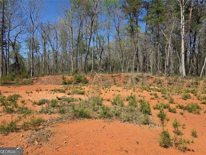 Property Photo: 0 Thurmond Road 8.64 Acres Road GA 30528
