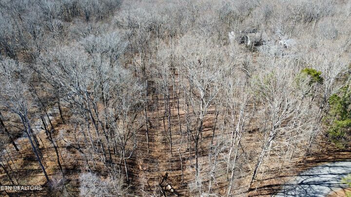 Property Photo: Havenwood Drive TN 37804