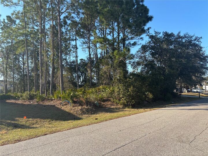 Property Photo:  6 Flint Hill Lane  FL 32137 