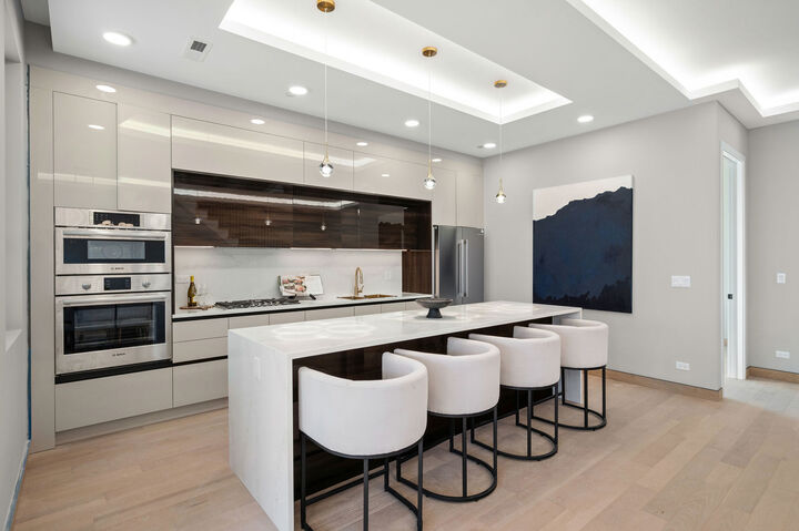 Property Photo:  466 N Paulina Street 203  IL 60622 