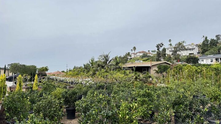 Property Photo:  717 Ora Avo  CA 92084 