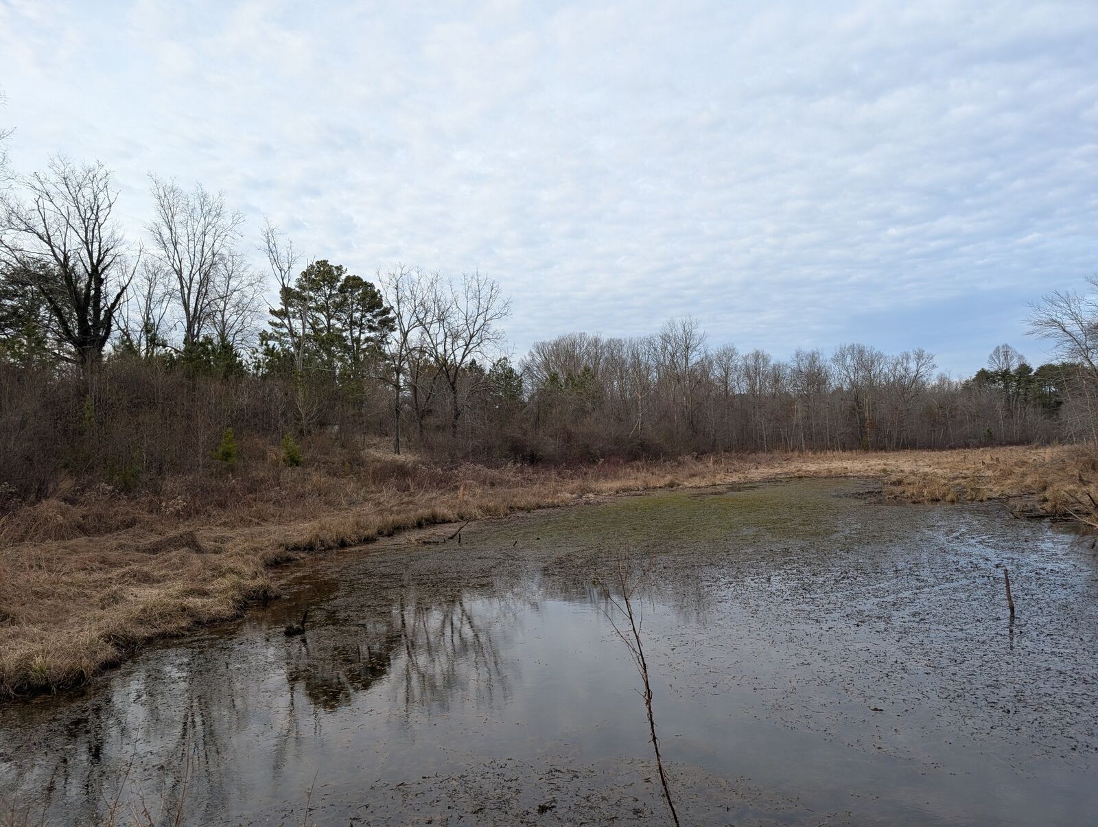 Property Photo:  0 7th Street  TN 37313 